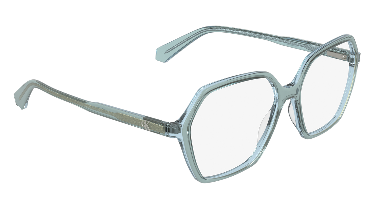 Calvin Klein CKJ26639 301