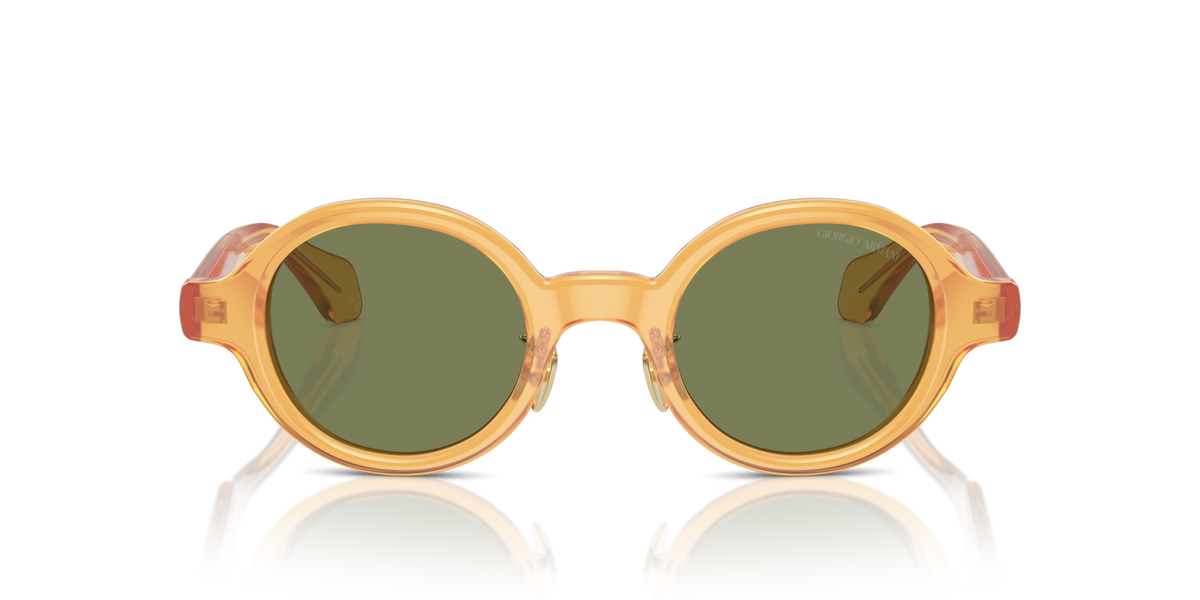 Giorgio Armani AR8205 60632A Occhiali da sole Giorgio Armani 3