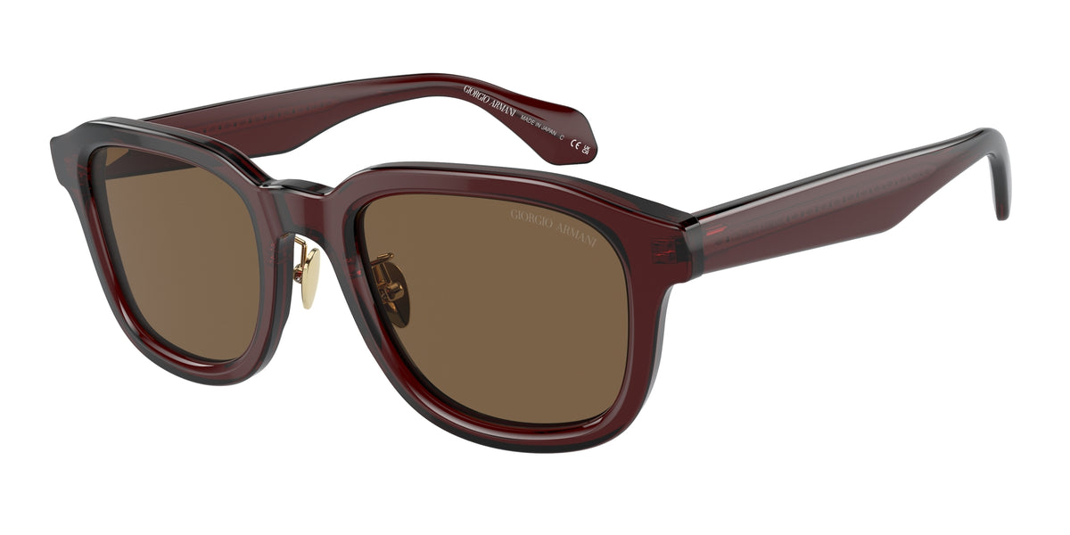 Giorgio Armani Sluneční brýle AR8206 606273 Giorgio Armani 1