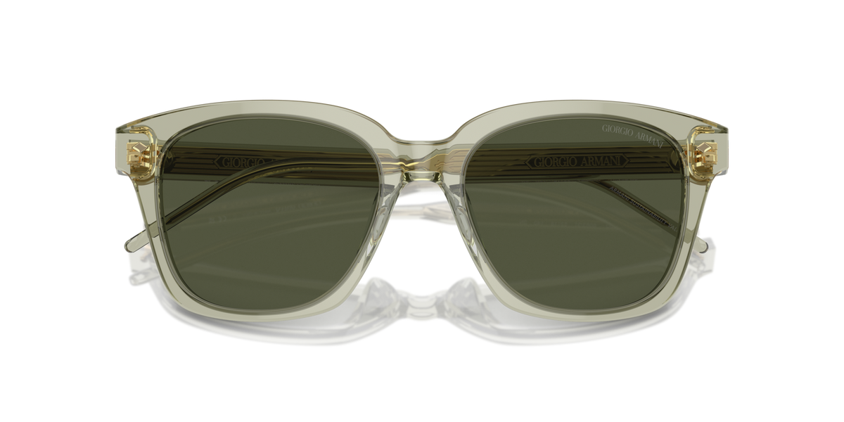 Giorgio Armani AR8210U 608331 Occhiali da sole Giorgio Armani 2
