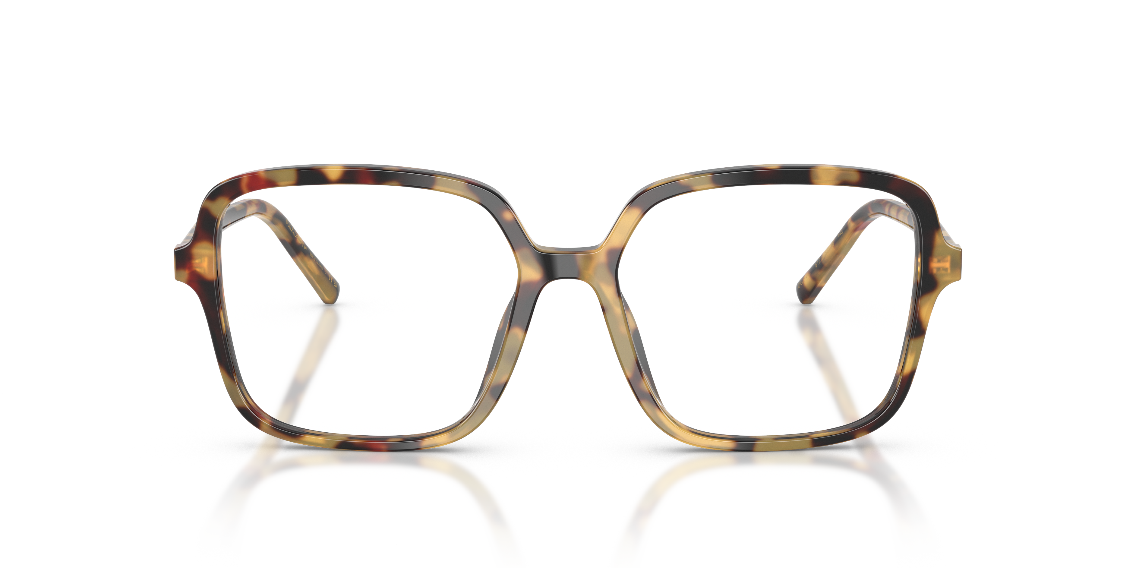 Dolce & Gabbana DG3442 512