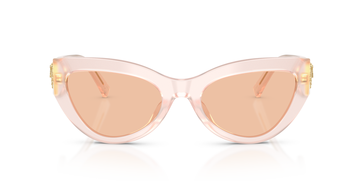 Dolce & Gabbana DG4536304173