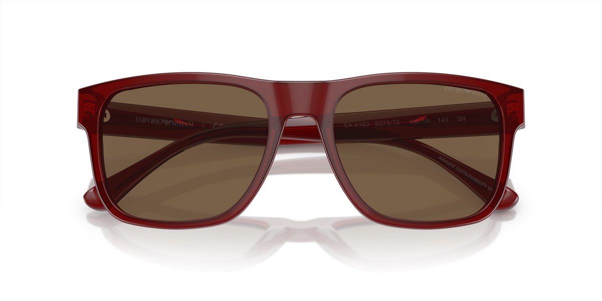 Emporio Armani EA4163 507573 Occhiali da sole Emporio Armani 2