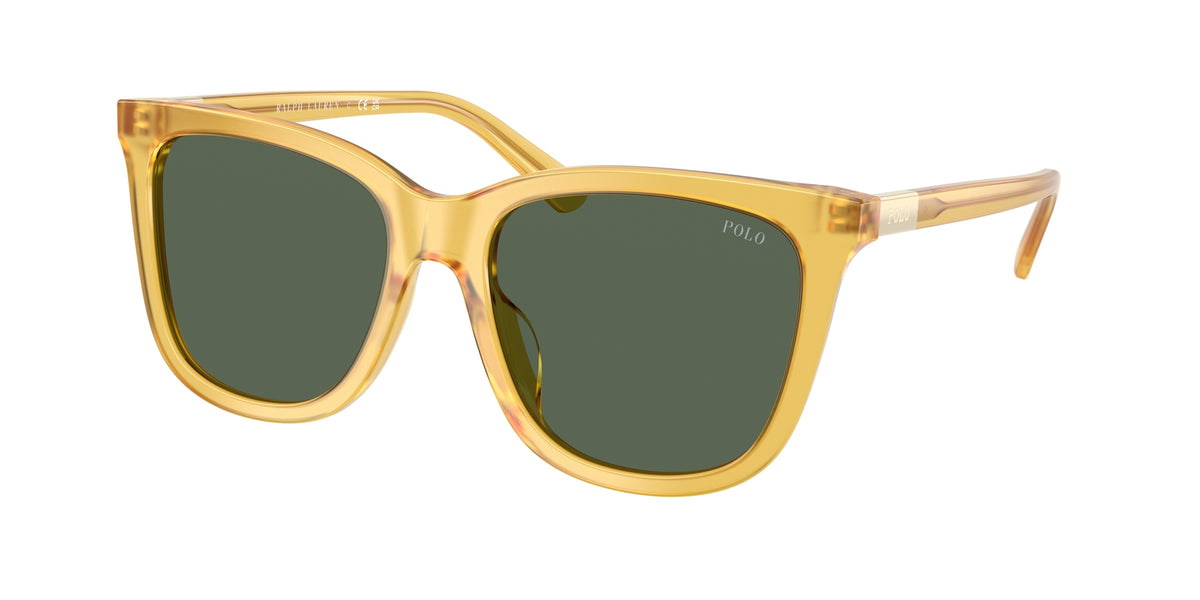 Polo Ralph Lauren PH4201U 500571 Occhiali da sole Polo Ralph Lauren 1
