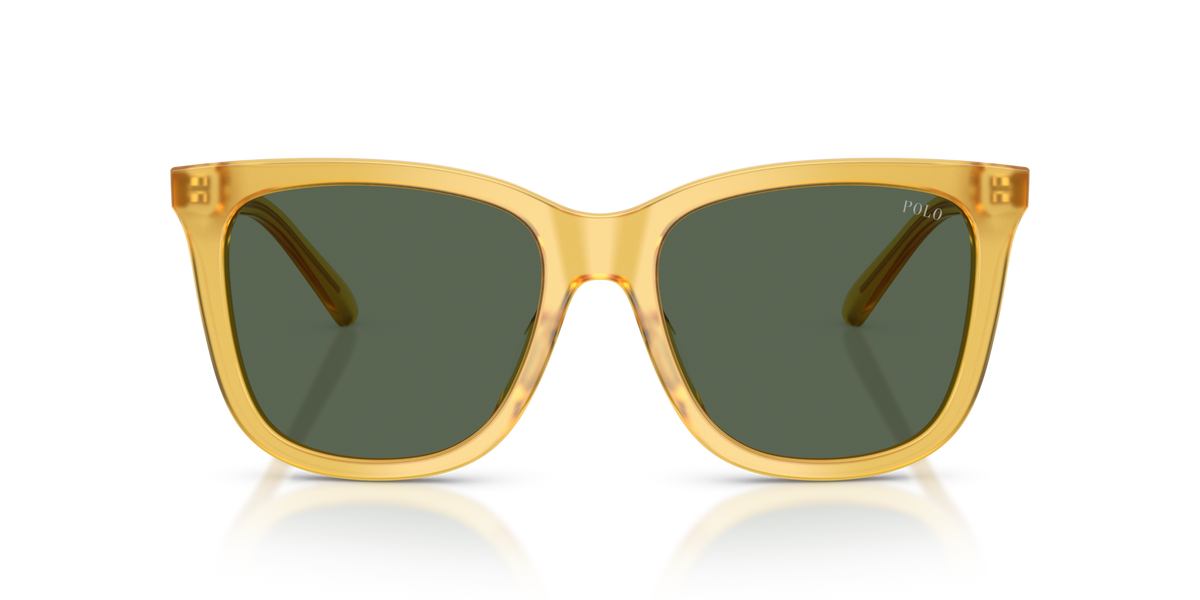 Polo Ralph Lauren PH4201U 500571 Occhiali da sole Polo Ralph Lauren 3