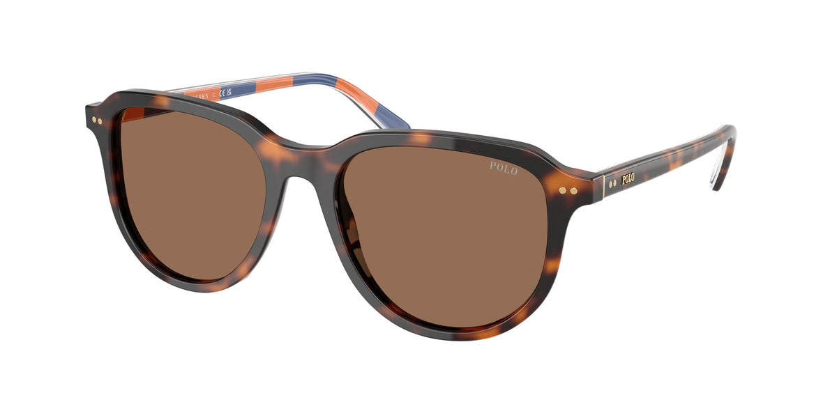 Polo Ralph Lauren PH4225 613773 Occhiali da sole Polo Ralph Lauren 1