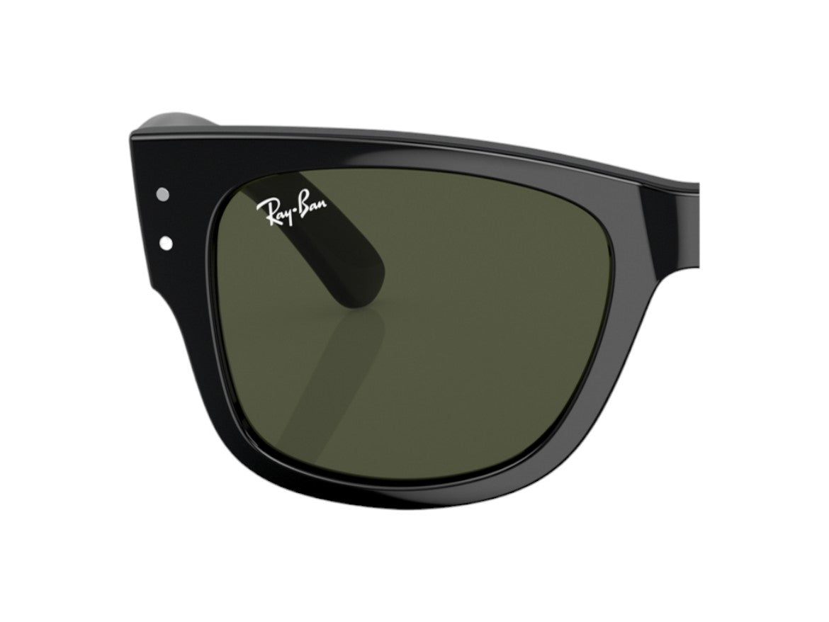 Ray - Ban Pár náhradních čoček Ray - Ban RB0840S Mega wayfarer Náhradní čočky Ray - Ban Zelená 000039930019 1