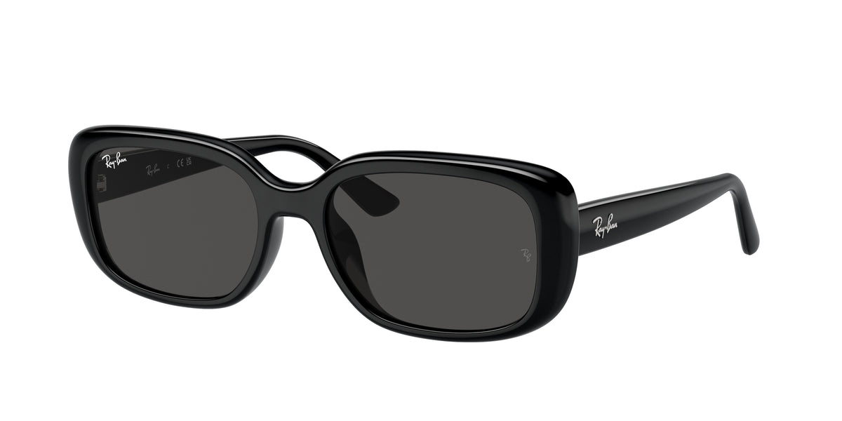 Ray - Ban RB4421D 667787 Occhiali da sole Ray - Ban 1