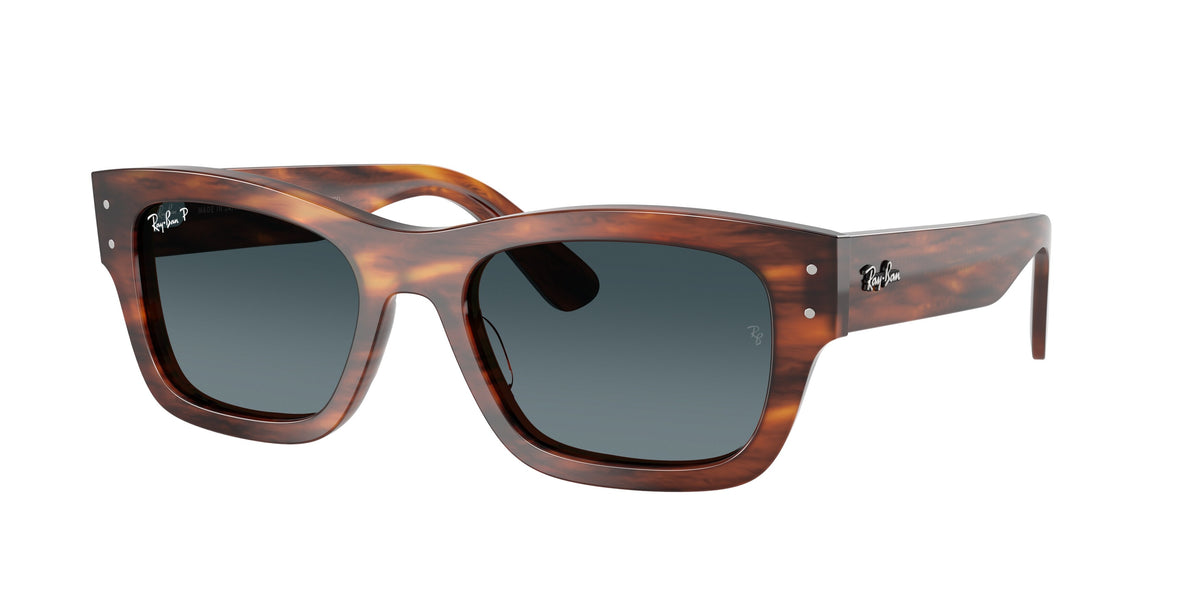 Ray - Ban RB7683S JOSEPH 954/S3 Occhiali da sole Ray - Ban 1
