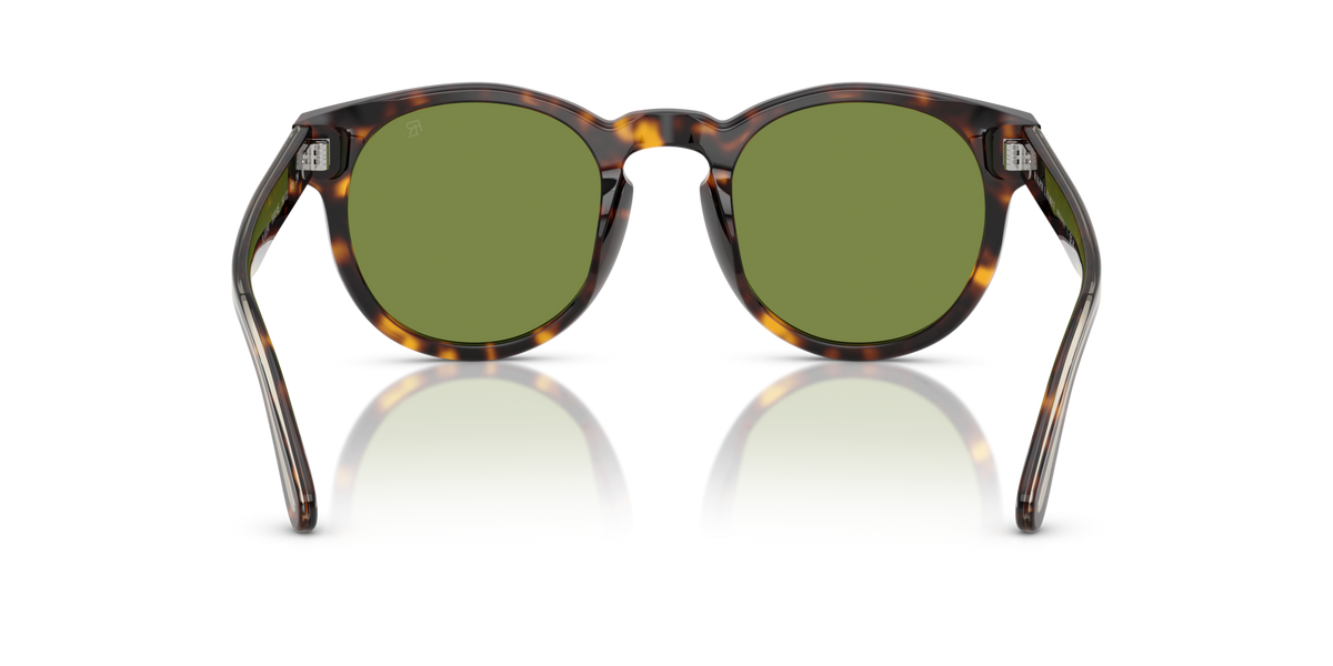 Ralph Lauren RL8229U 50034E Occhiali da sole Ralph Lauren 5
