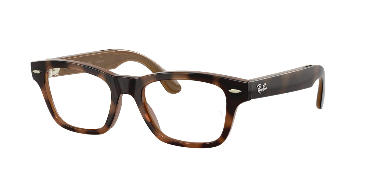 Ray - Ban RW7005V Ray - Ban Meta Audio Burbank Optics 8525