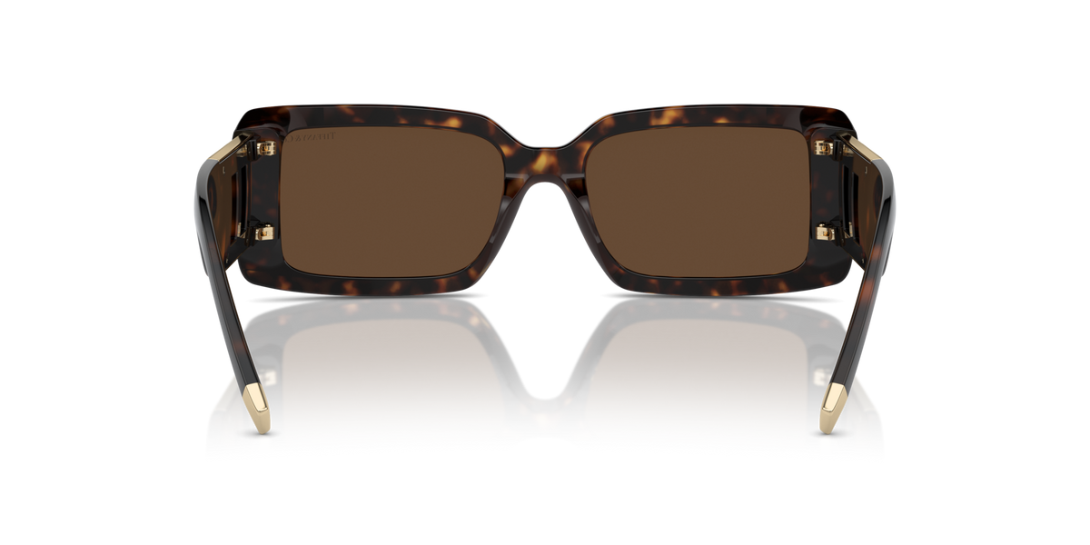 Tiffany TF4197 80153G Occhiali da sole Tiffany 6
