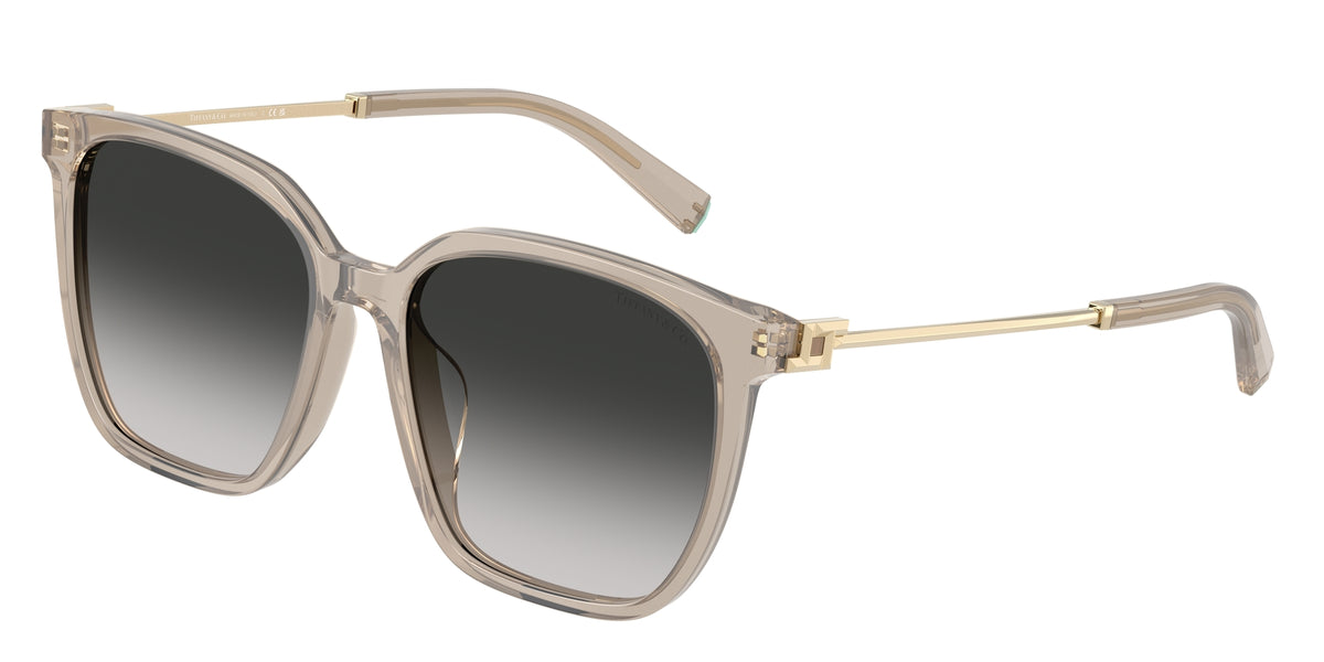 Tiffany TF4244D 82503C Occhiali da sole Tiffany 1