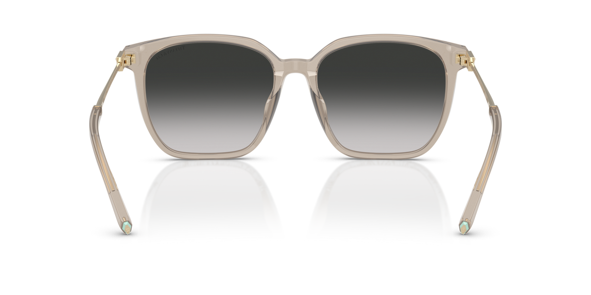 Tiffany TF4244D 82503C Occhiali da sole Tiffany 5