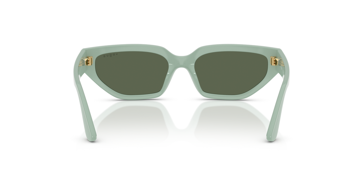 VOGUE EYEWEAR VJ2029 320571 Sluneční brýle VOGUE BRÝLE 5