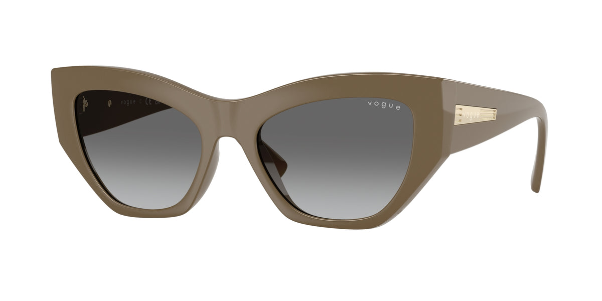 VOGUE EYEWEAR VO5607S 317511 Sluneční brýle VOGUE BRÝLE 1