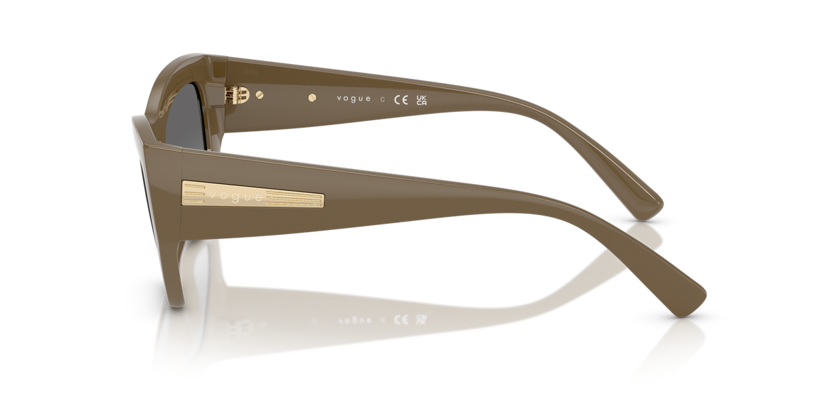 VOGUE EYEWEAR VO5607S 317511 Sluneční brýle VOGUE BRÝLE 4