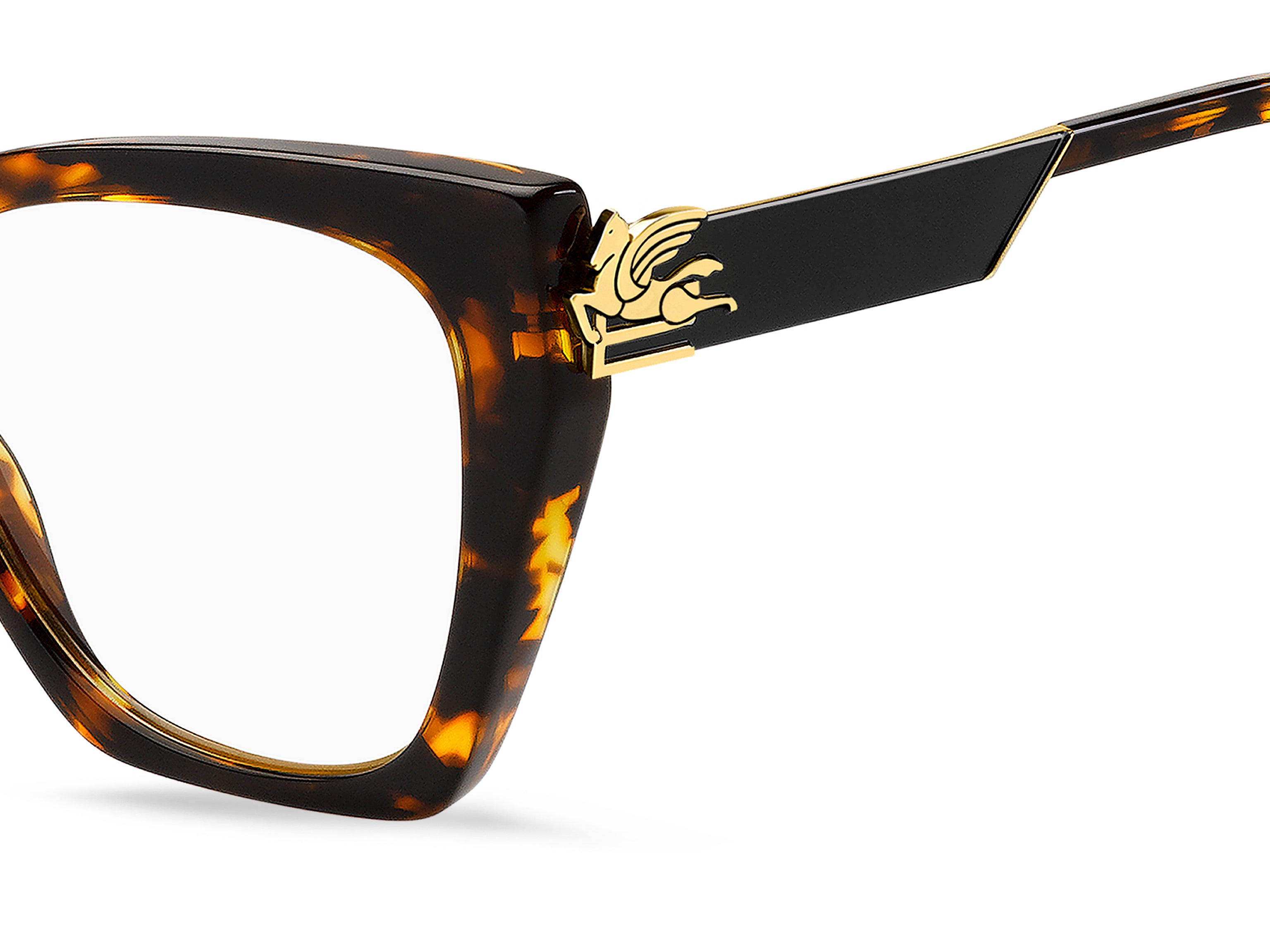ETRO ETRO 0042 086/99 Montature da vista ETRO 3