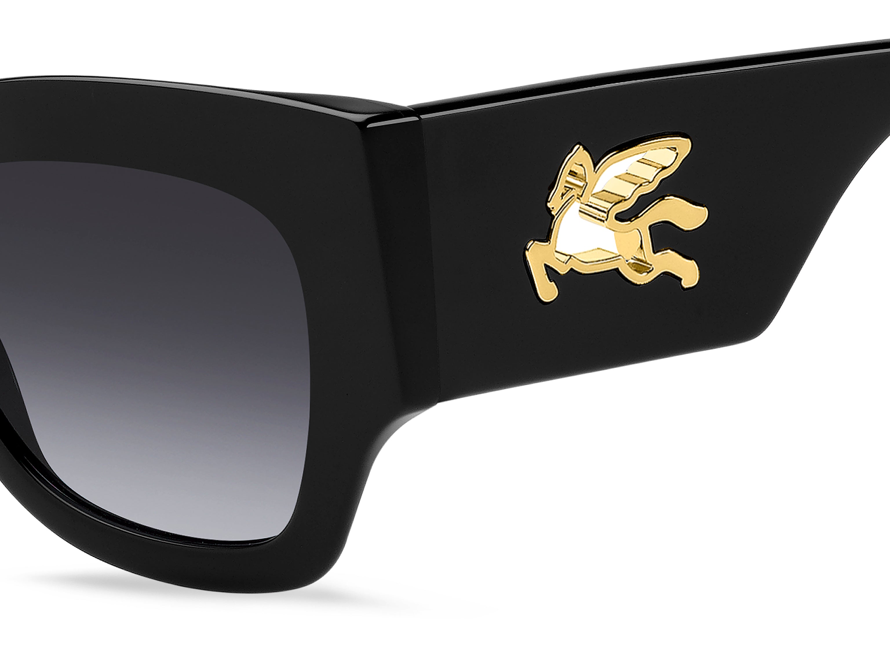 ETRO ETRO 0076/S 807/9O Occhiali da sole ETRO 3