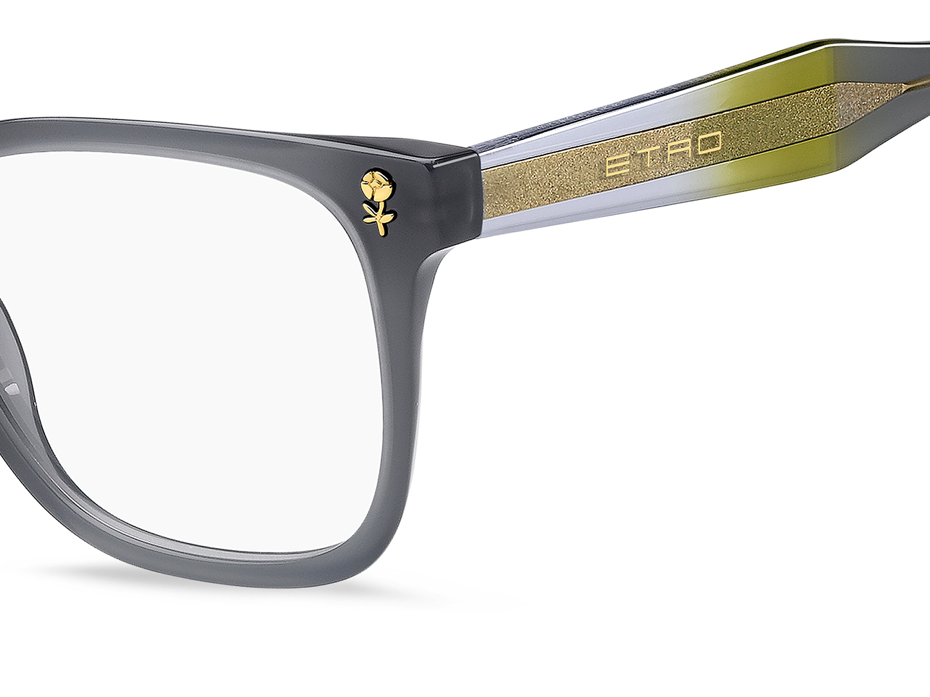 ETRO ETRO 0115 3U5 Montature da vista ETRO 3