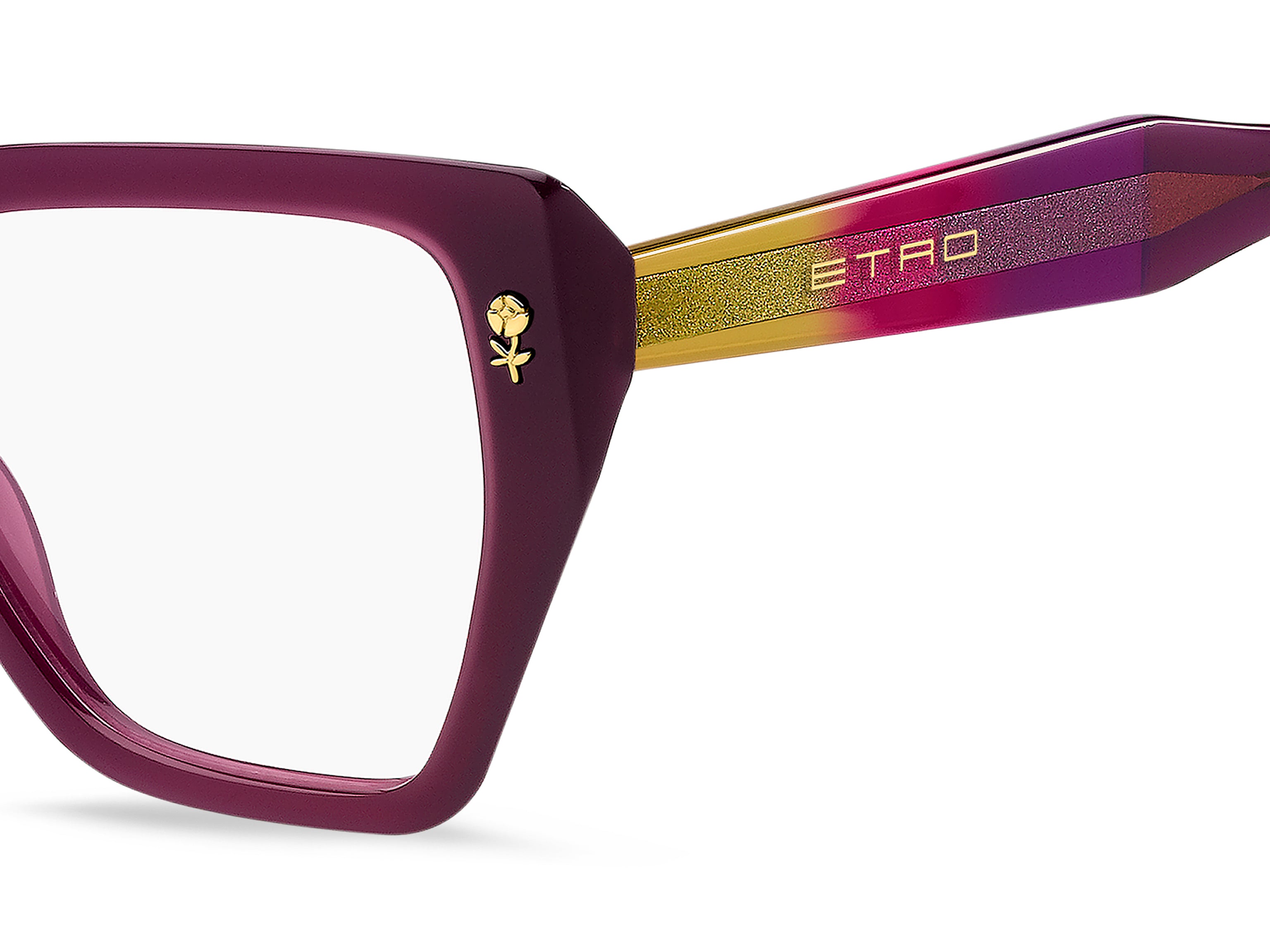 ETRO ETRO 0116 365 Montature da vista ETRO 3