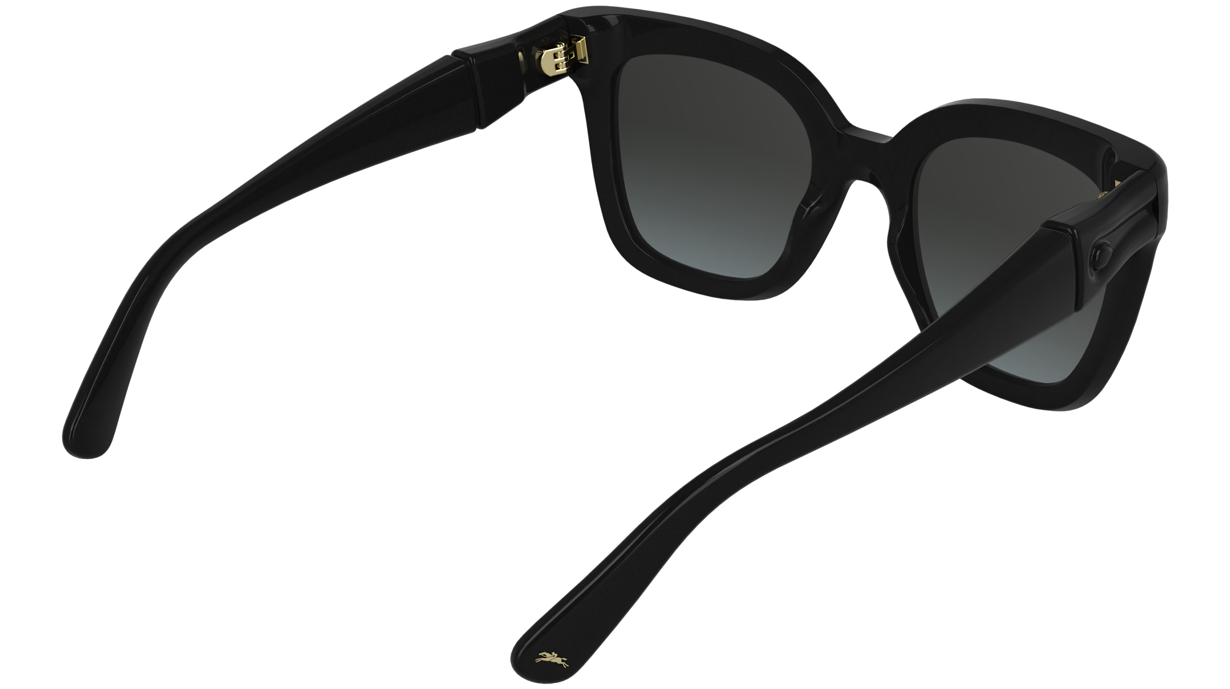 LONGCHAMP LO793S 001 Occhiali da sole LONGCHAMP 6