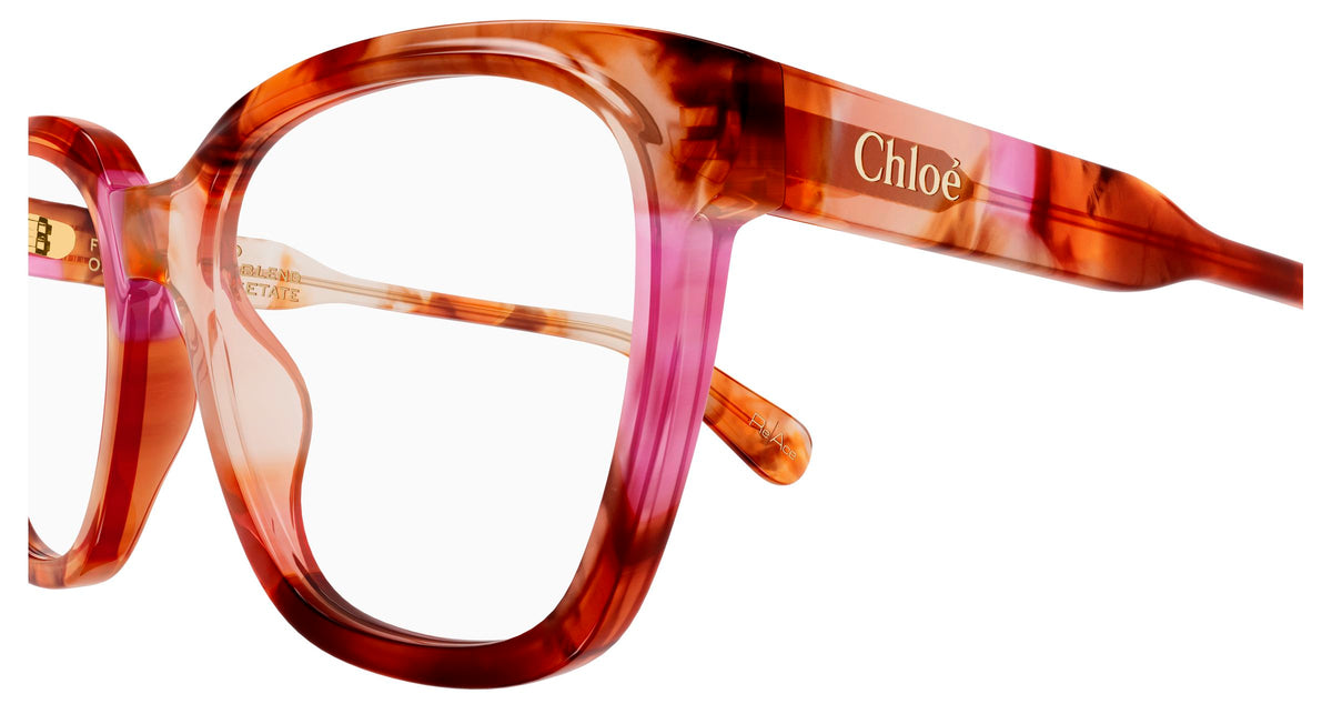 Chloé CH0265O 008
