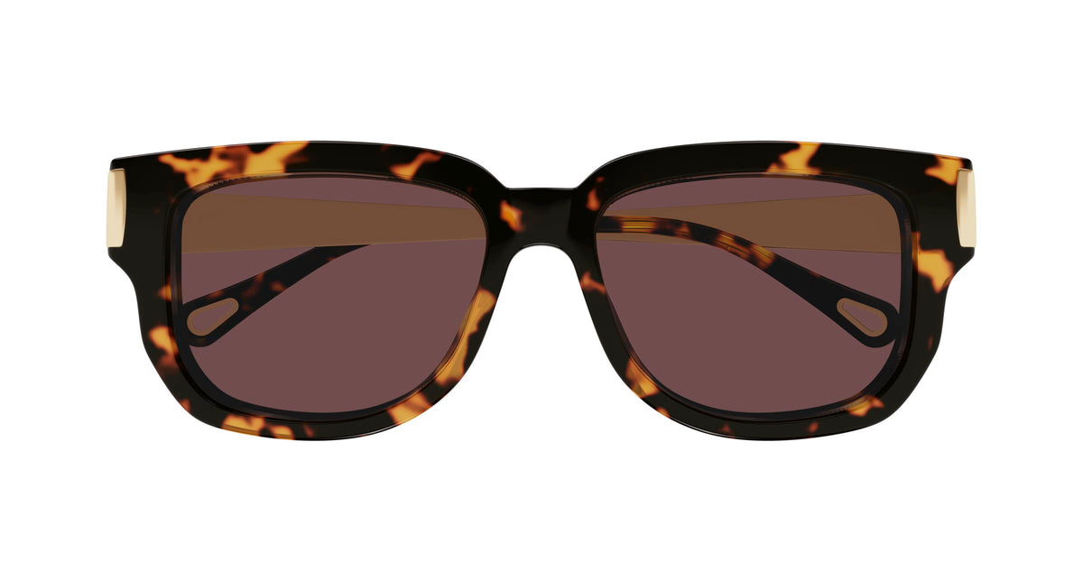 Chloé CH0351S 003