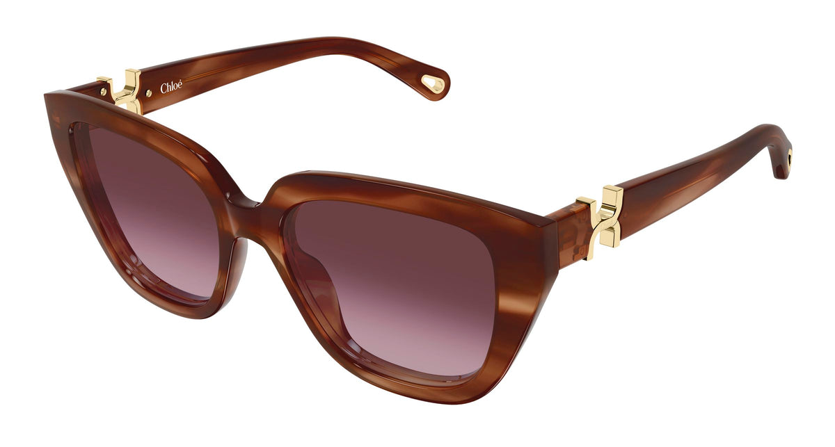 Chloé CH0410S 003