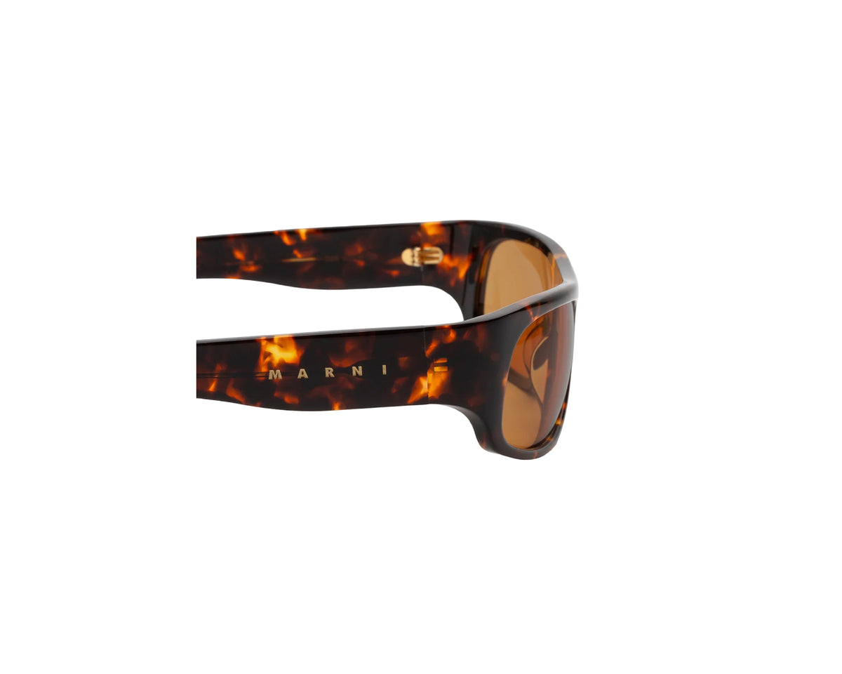 Marni D28 Uailus Burnt Havana Occhiali da sole Marni 3