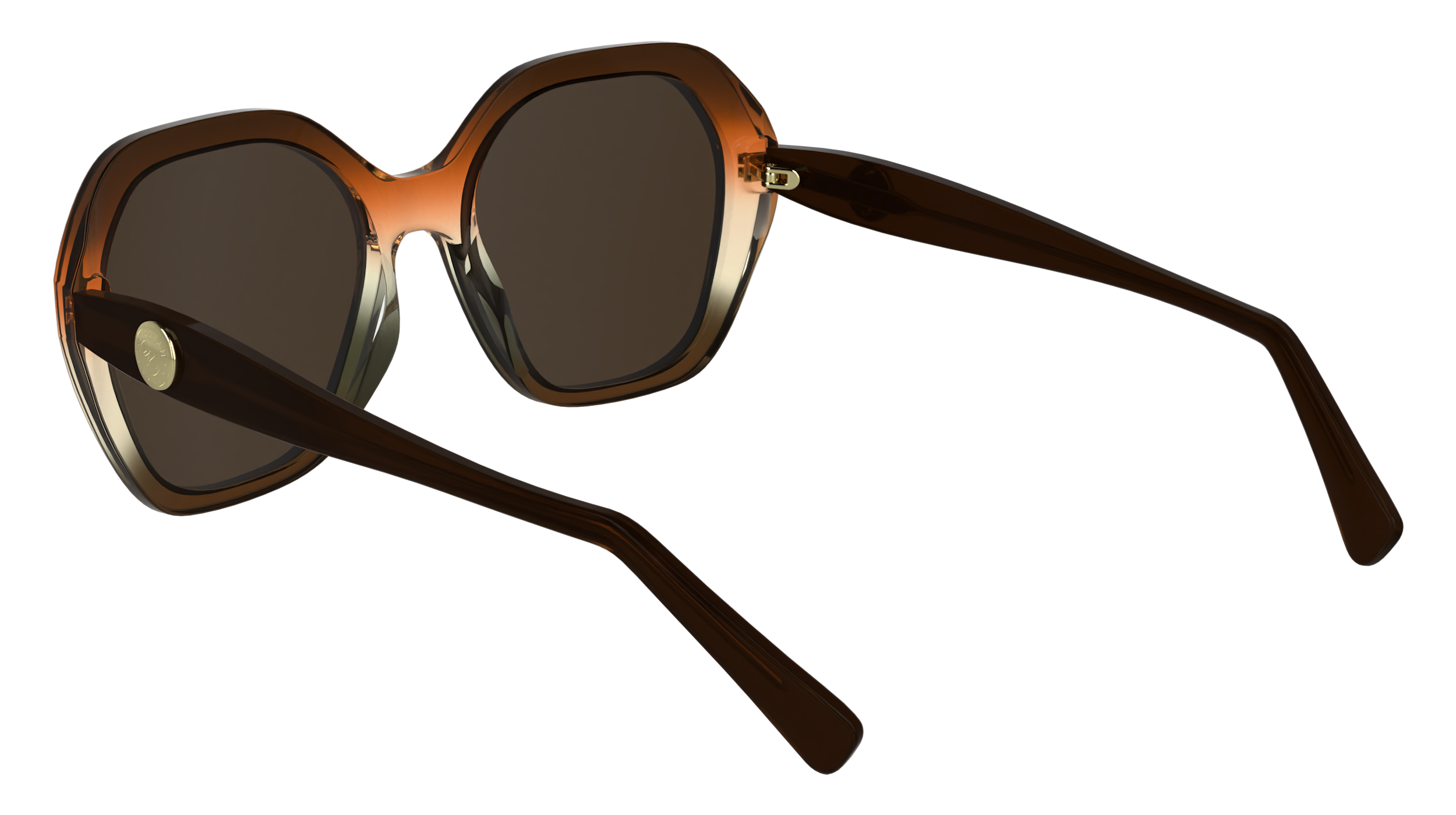LONGCHAMP LO759S 209 Occhiali da sole LONGCHAMP 4