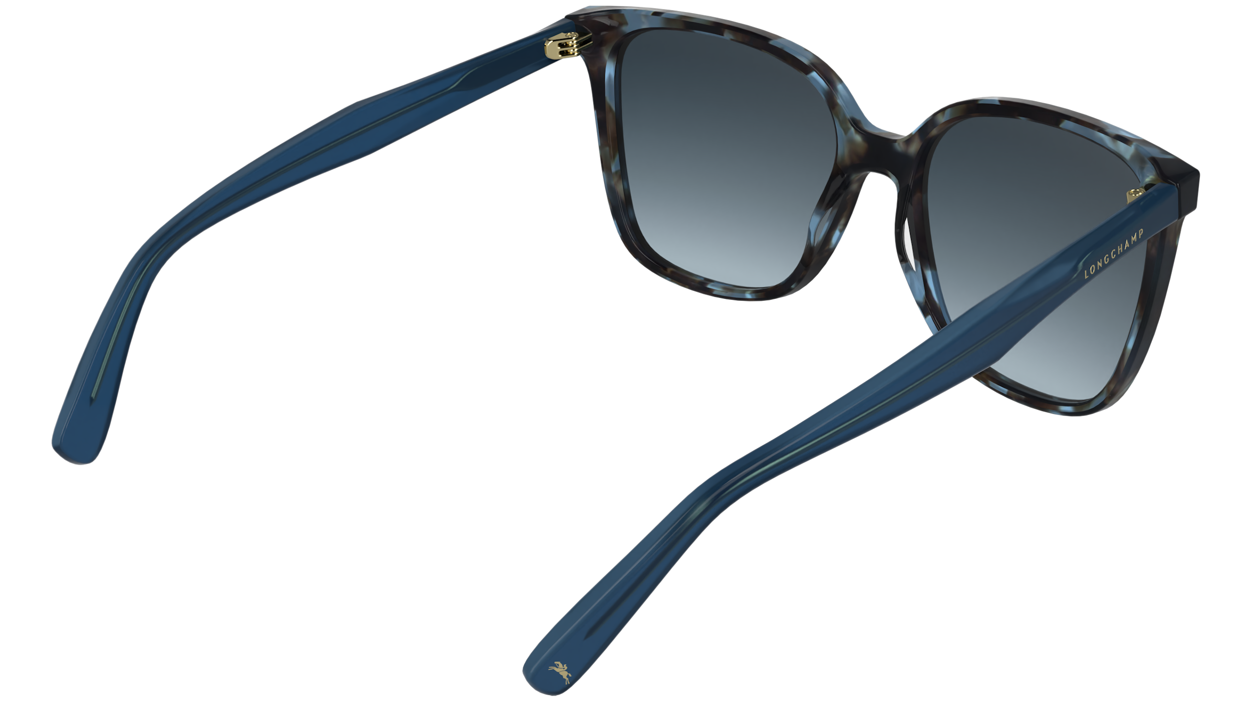 LONGCHAMP LO807S 438