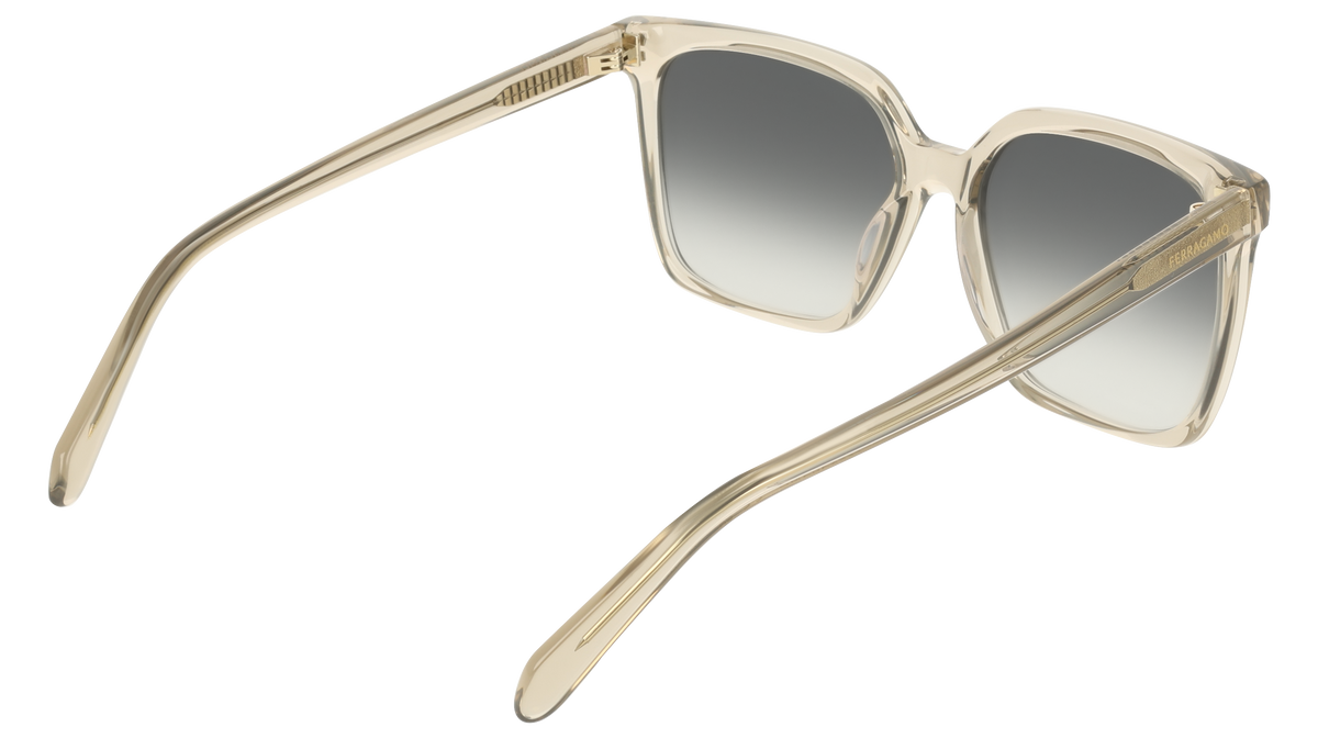 Ferragamo SF2102S 313