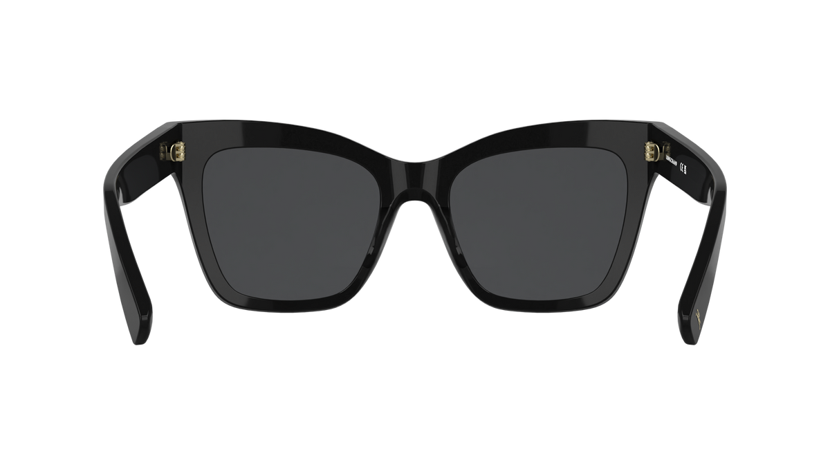 LONGCHAMP LO815S 1