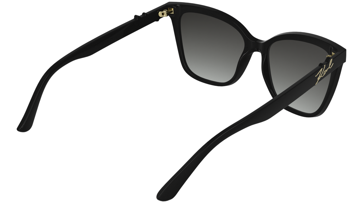 Karl Lagerfeld KL6223S 001