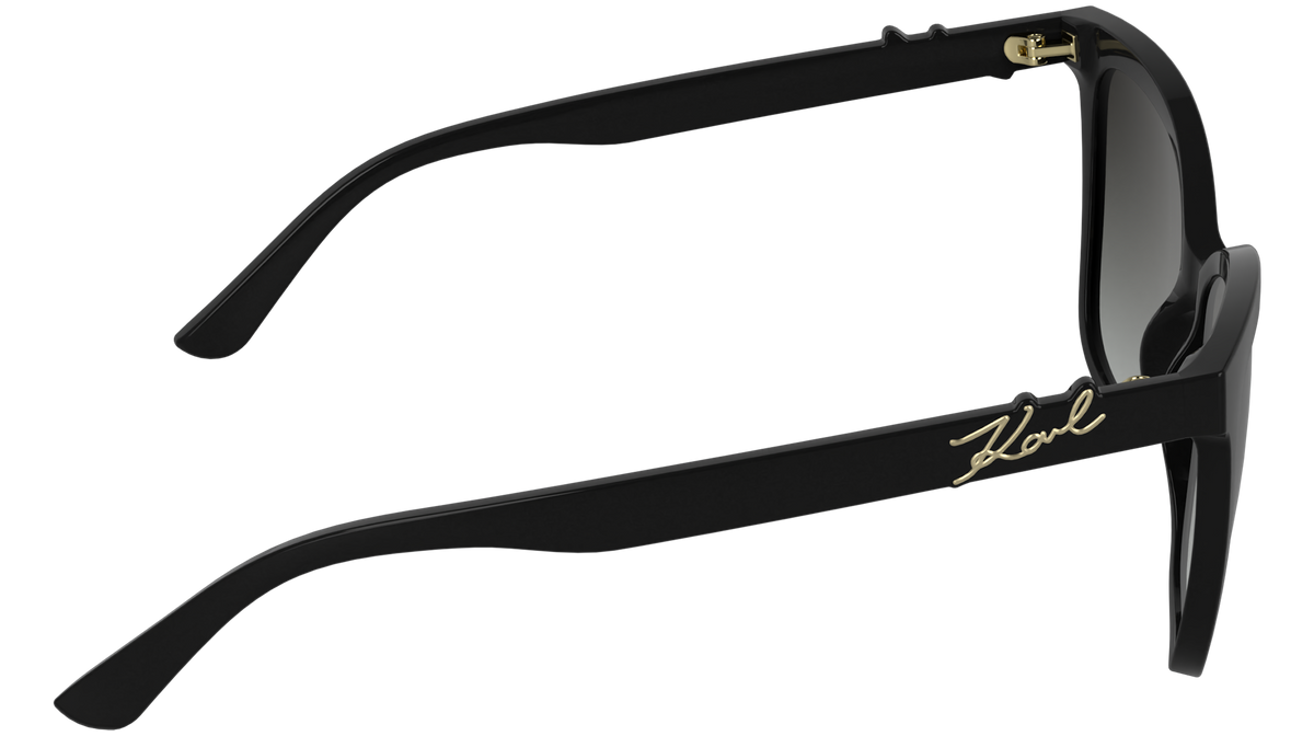 Karl Lagerfeld KL6223S 001