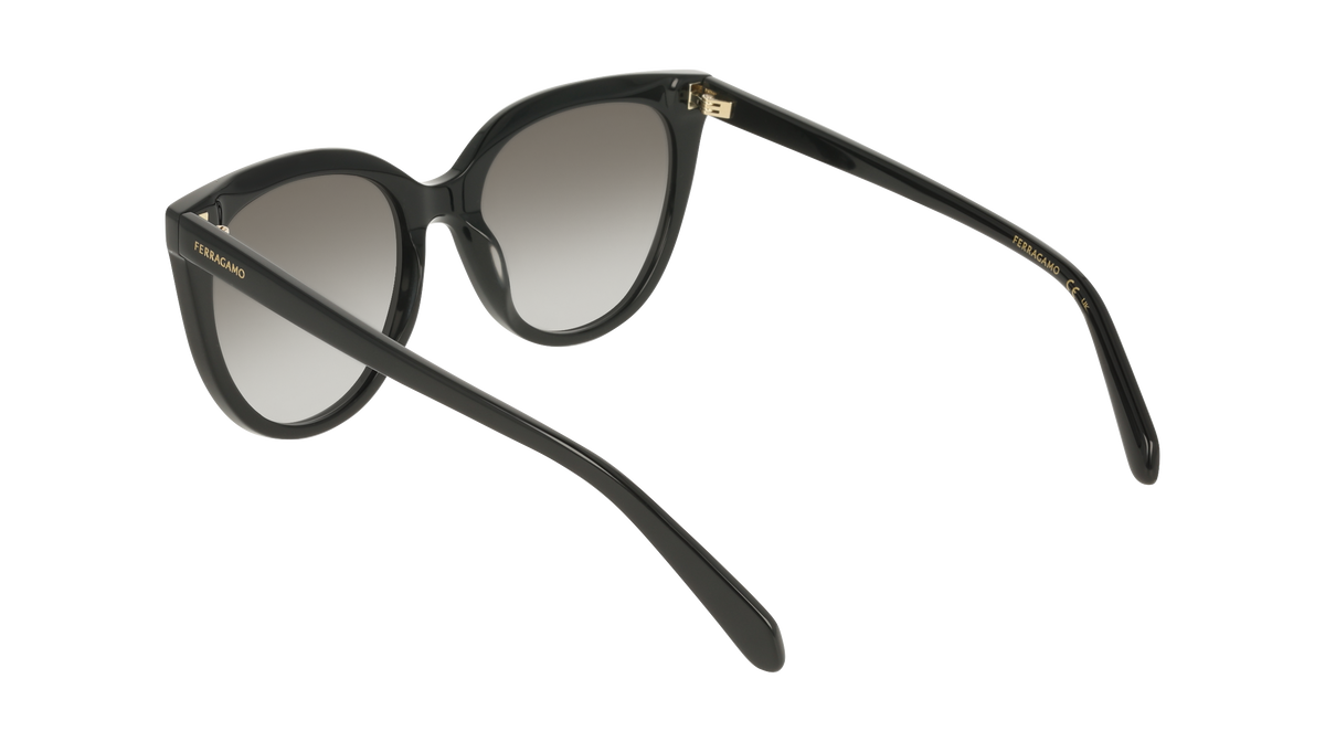 Ferragamo SF2101S 001
