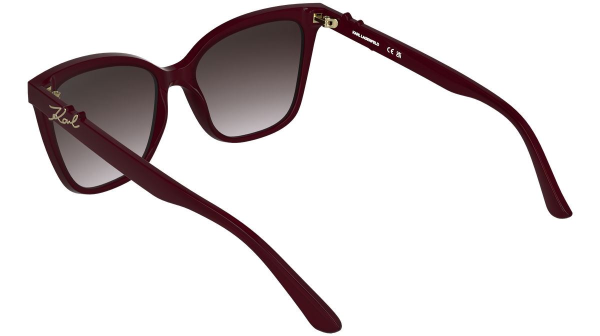 Karl Lagerfeld KL6223S 601