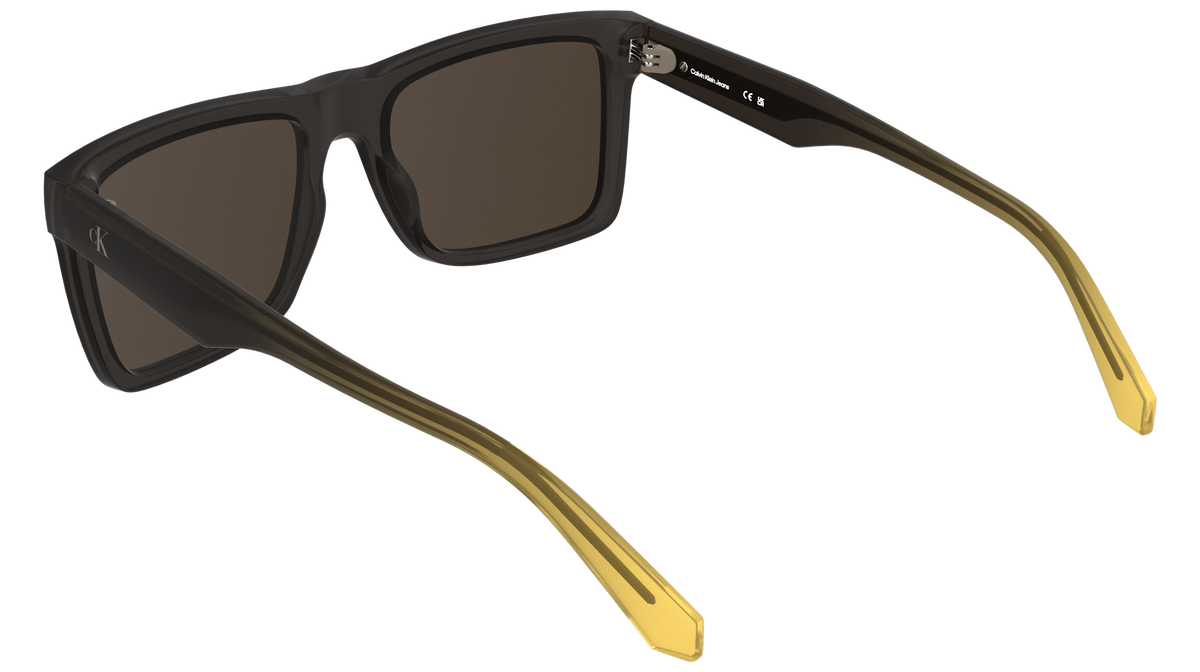 Calvin Klein CKJ26601S 209
