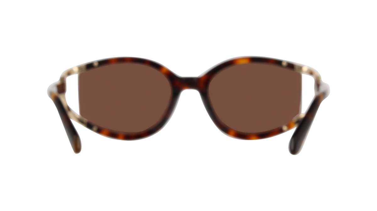 Ferragamo SF2111S 240