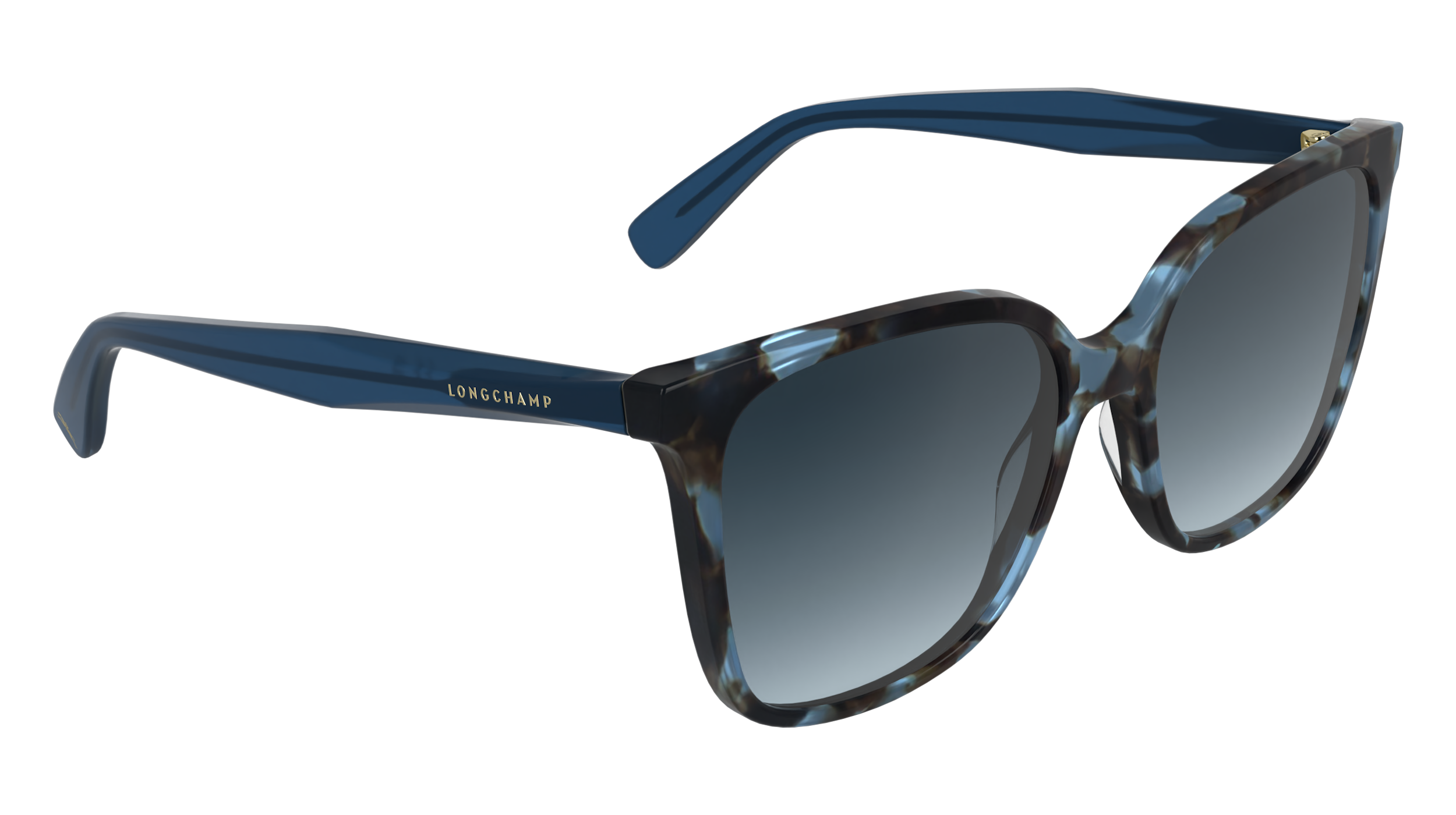 LONGCHAMP LO807S 438