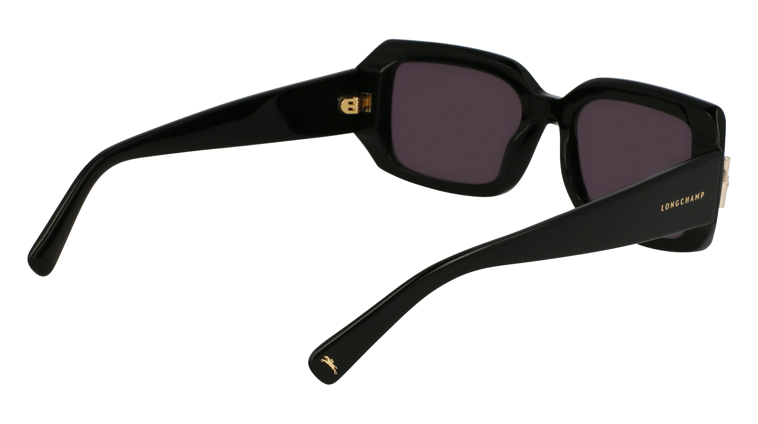 LONGCHAMP LO765S 001 Occhiali da sole LONGCHAMP 6