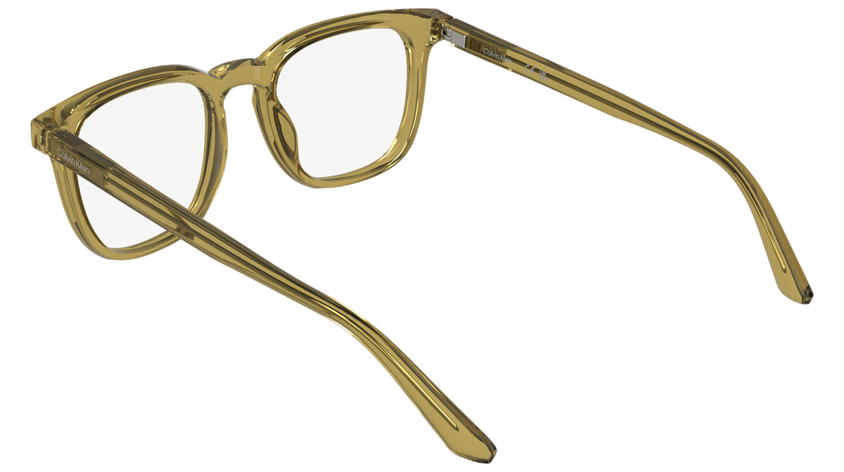 Calvin Klein CK26519 210