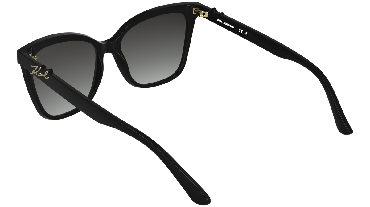 Karl Lagerfeld KL6223S 001