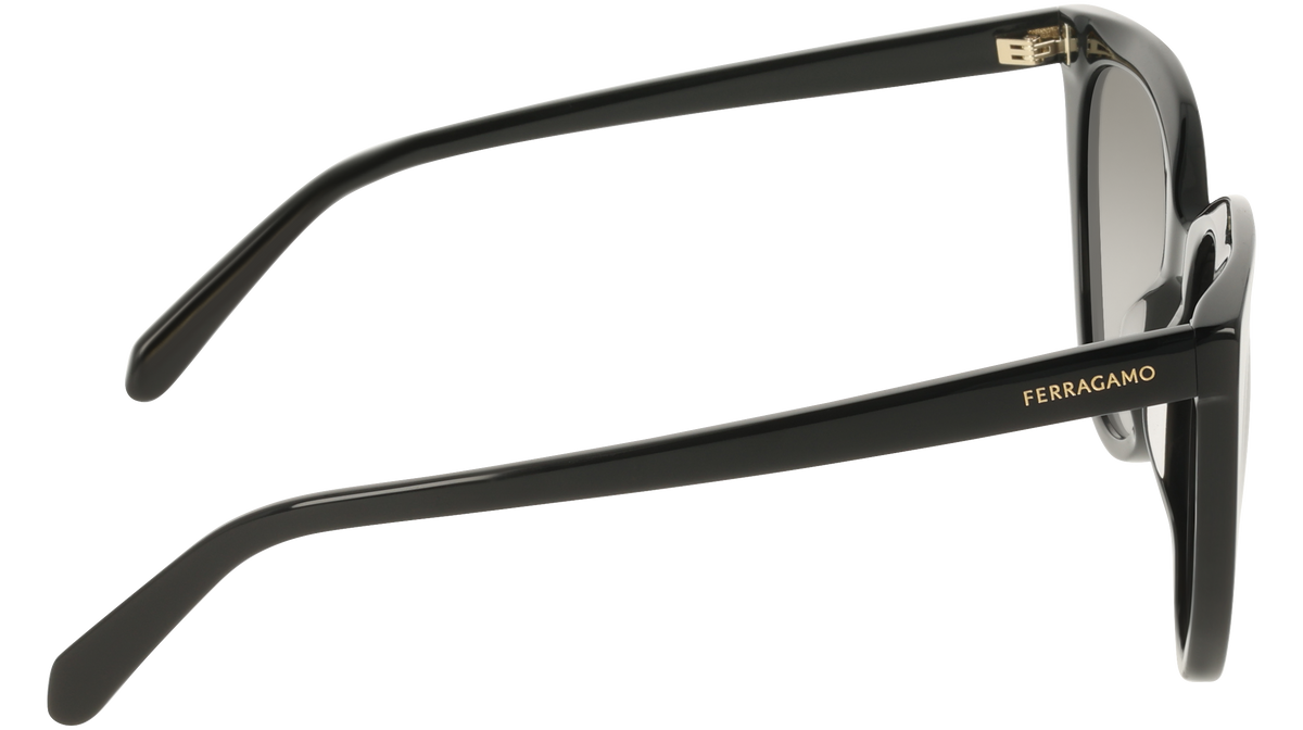 Ferragamo SF2101S 001