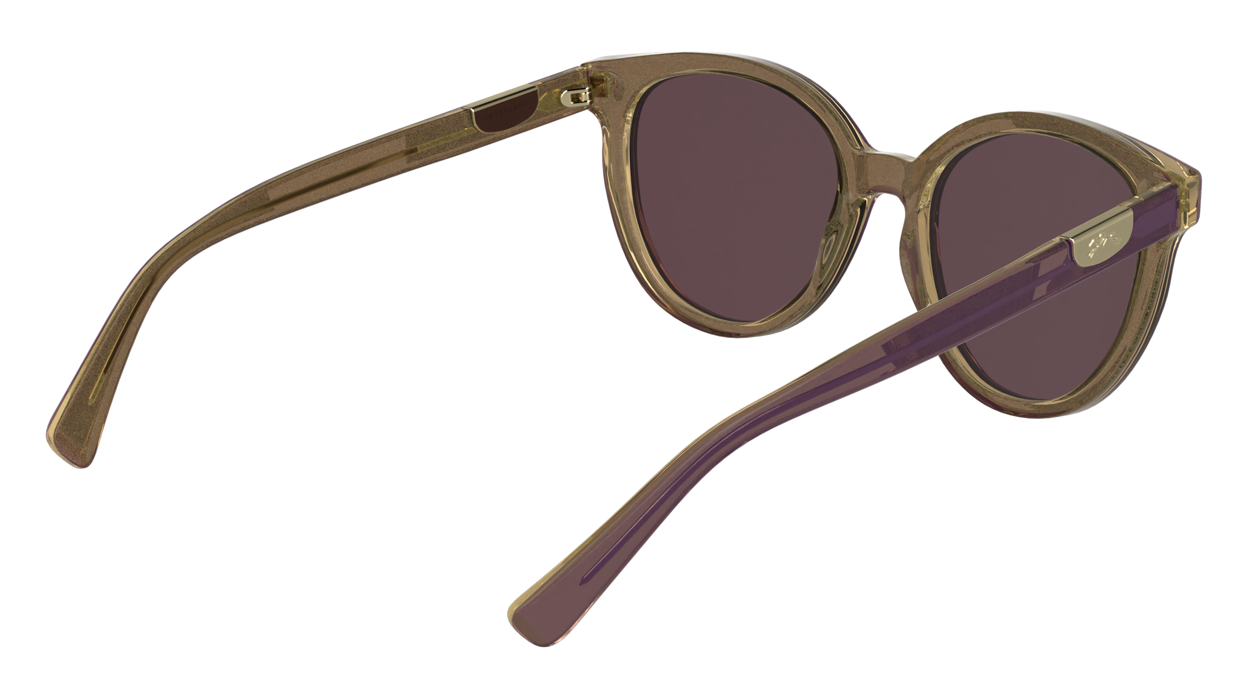 LONGCHAMP LO773S 506 Occhiali da sole LONGCHAMP 6
