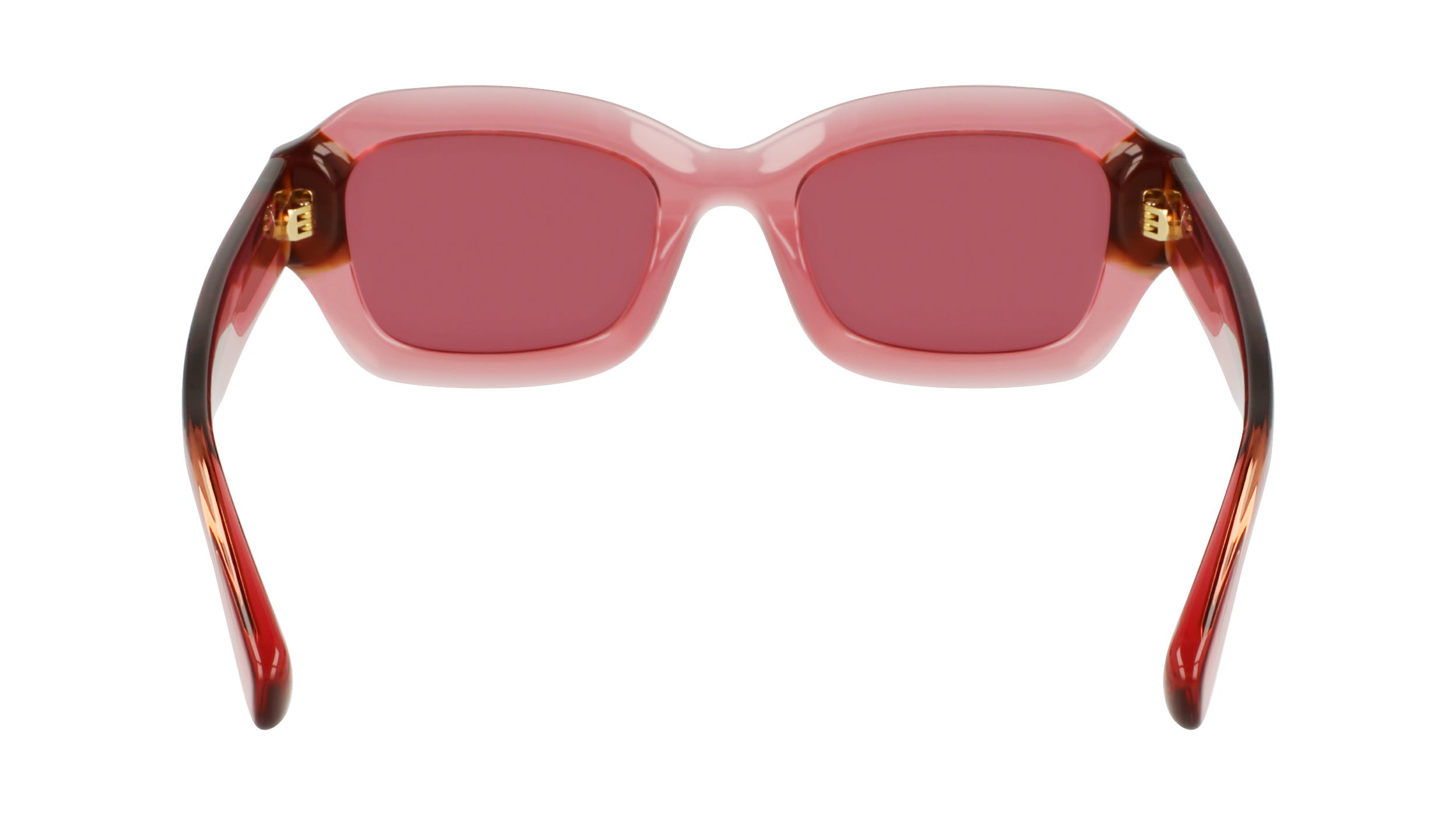 LONGCHAMP LO749S 613 Occhiali da sole LONGCHAMP 5